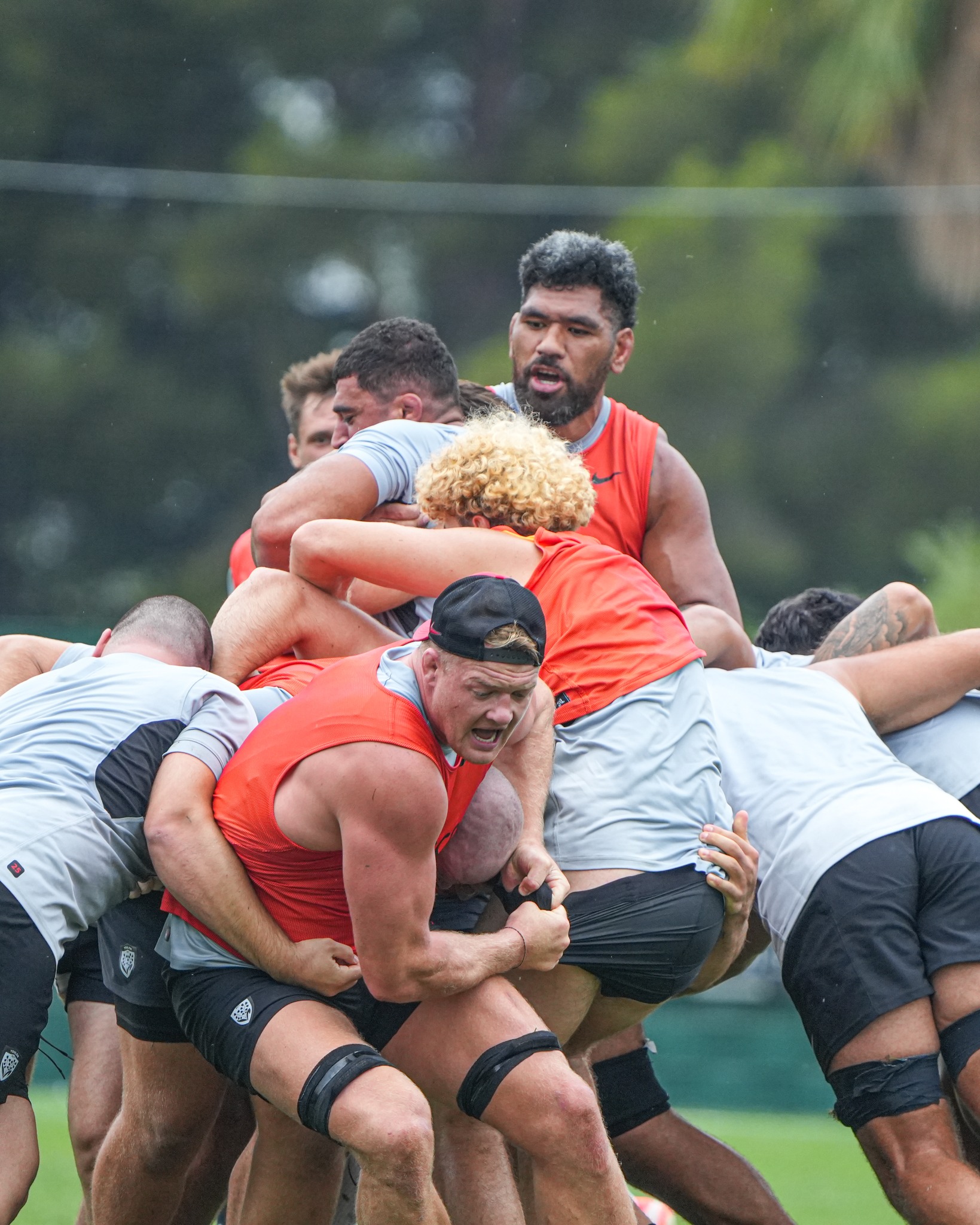 RCT - Rugby Club Toulonnais... - RCT - Rugby Club Toulonnais