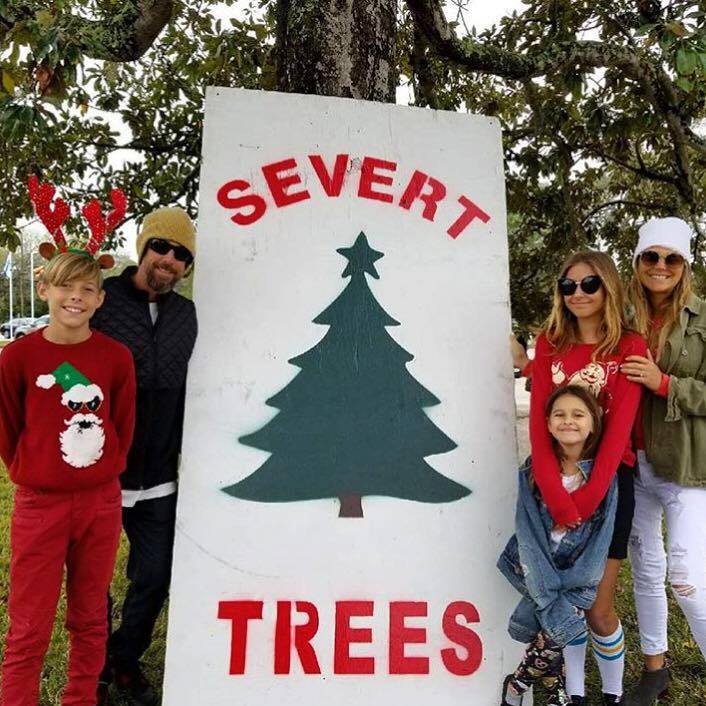 Severts Christmas Tree Farm | Saint Augustine FL