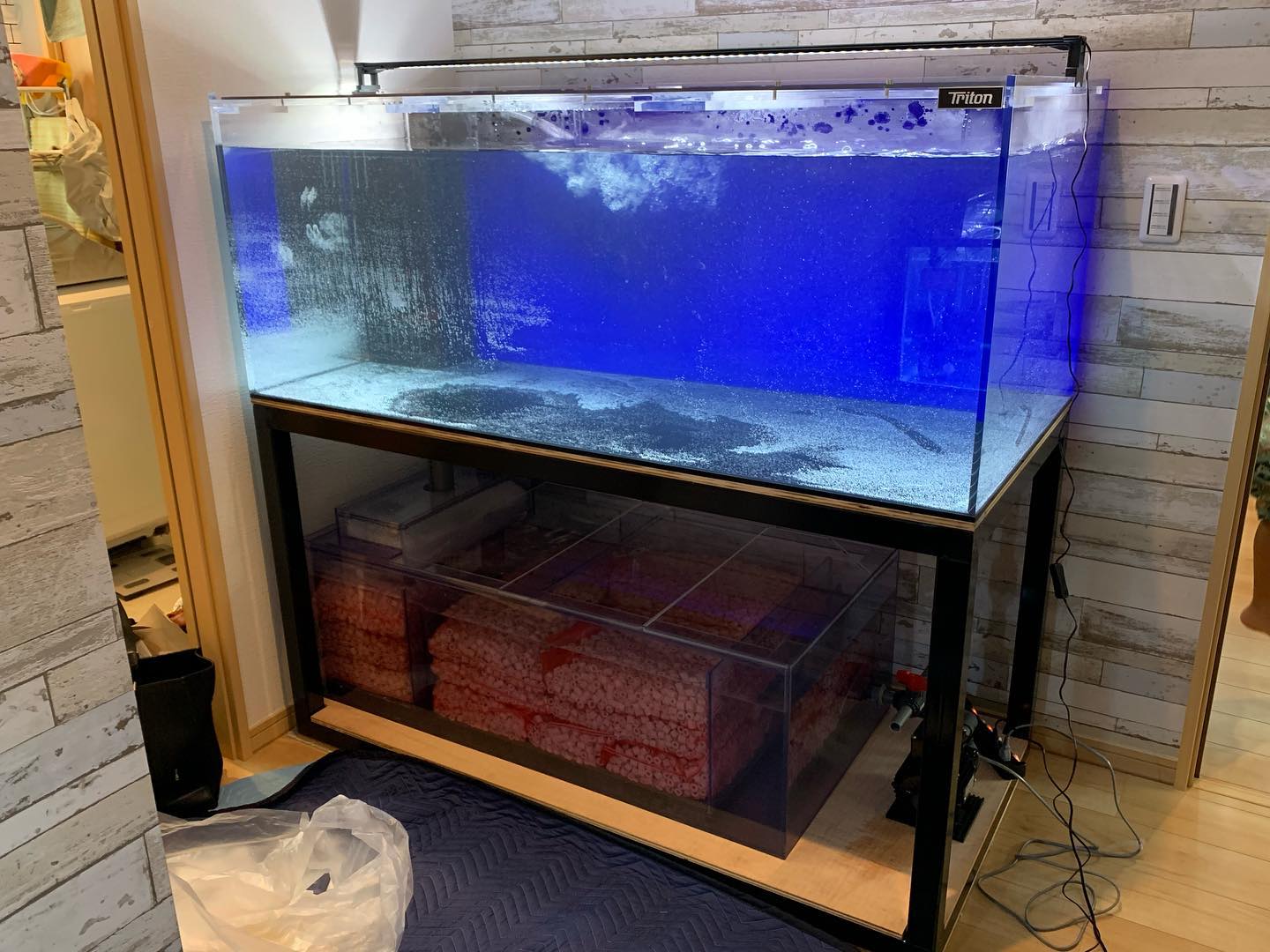 Aquashop Triton
