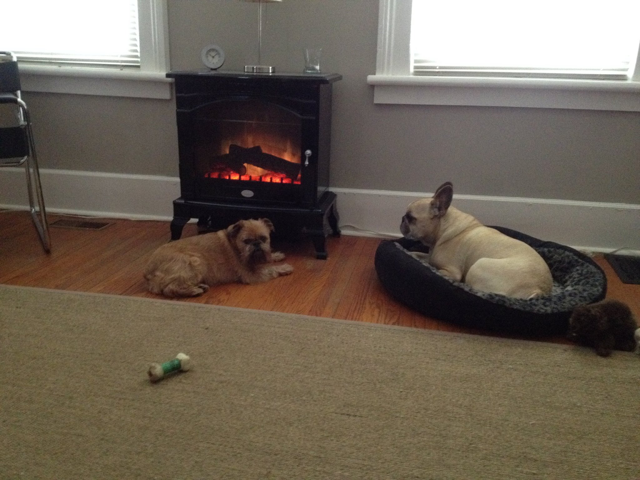 Paws Inn | Port Hope ON