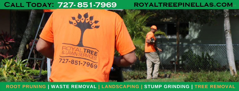 Royal Tree Services | Saint Petersburg FL