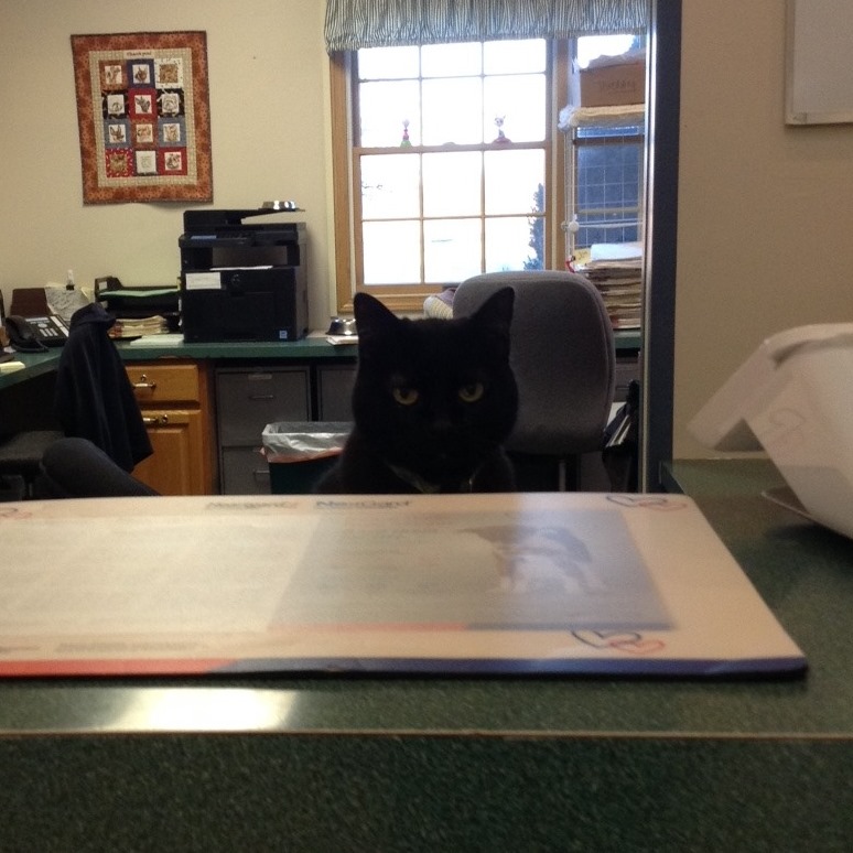 Douds Veterinary Hospital... - Douds Veterinary Hospital
