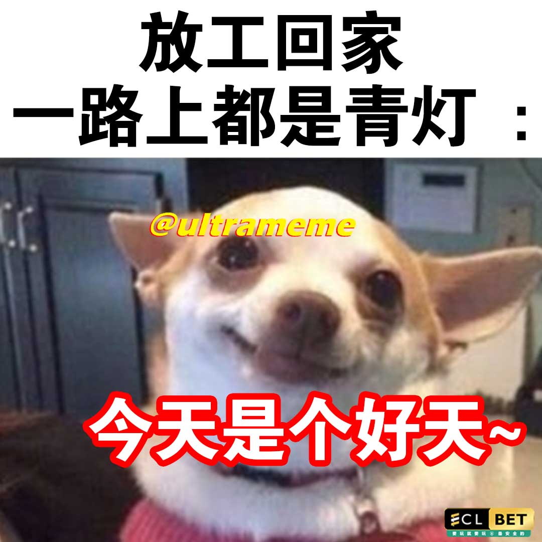 ULTRA - Good day . https://www.instagram.com/ultrameme2023/ . . . 梗图赞组 ...