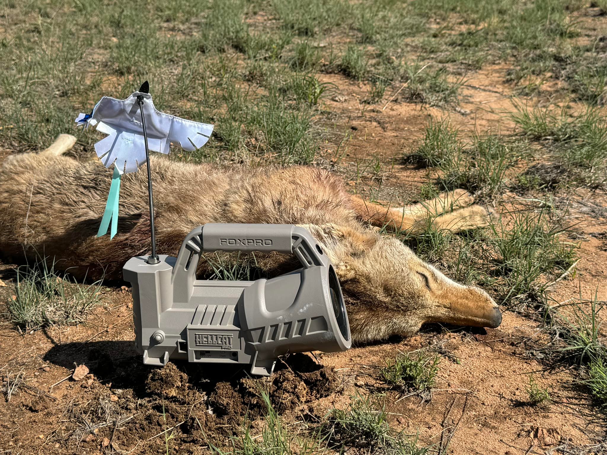 Foxpro Hellcat Digital Call Attracts Predators Features TX433