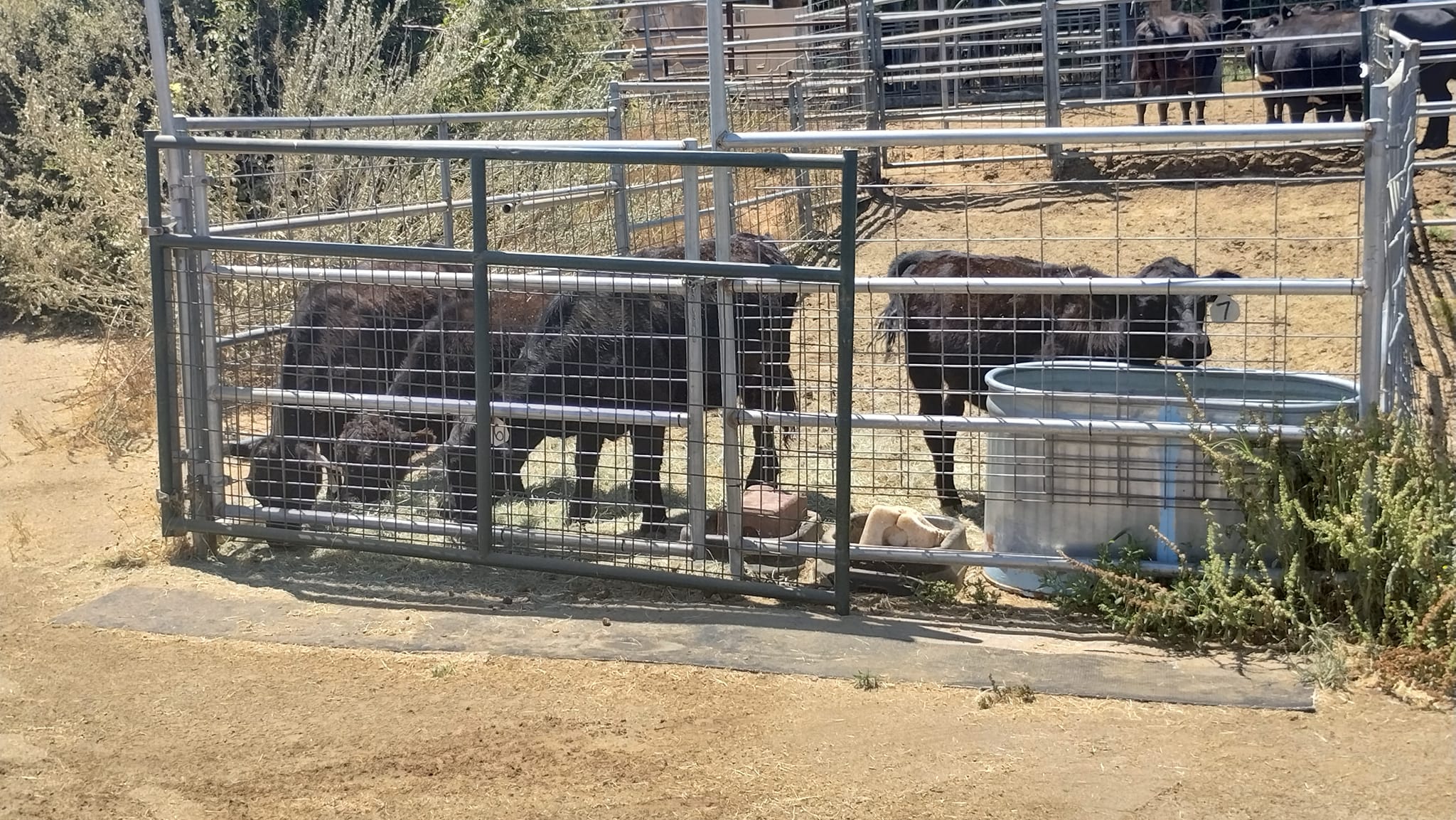Rocking Bar B Ranch | Nuevo CA
