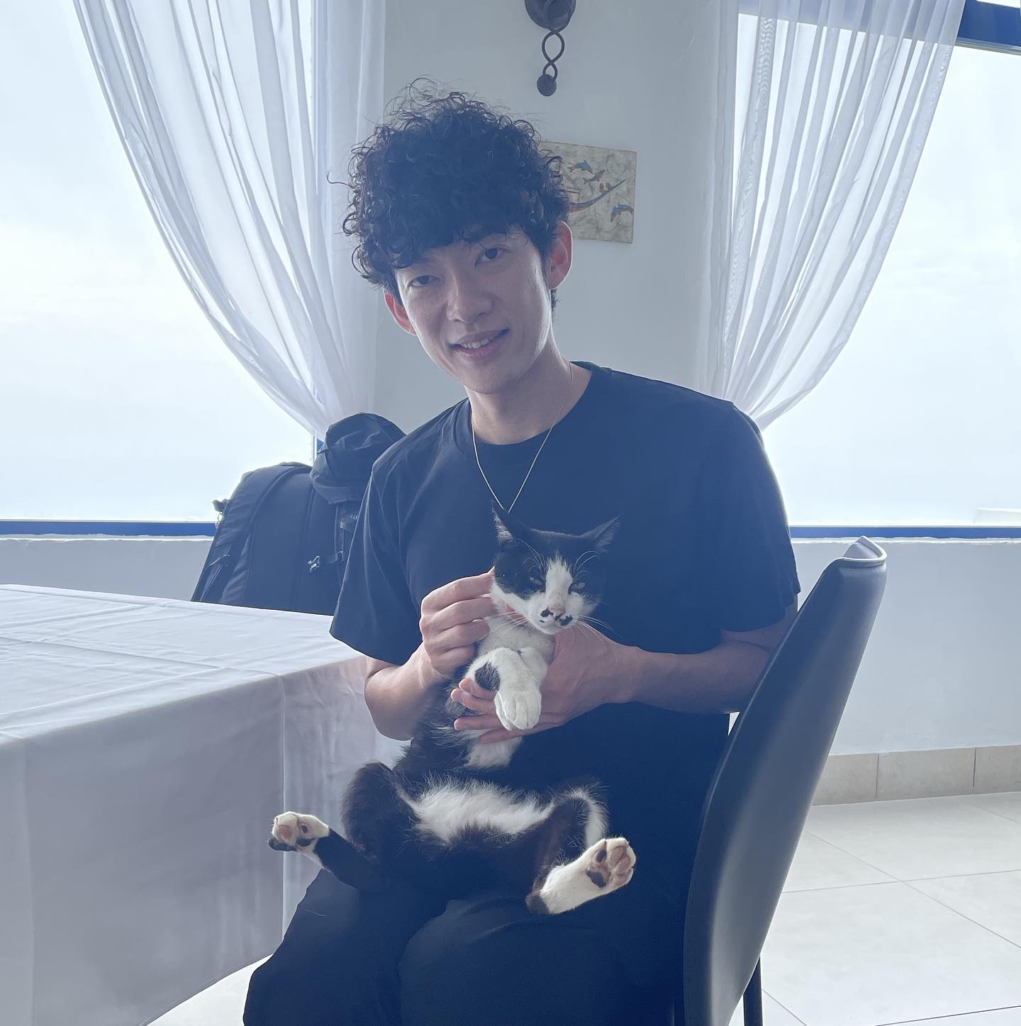 メンタ リスト daigo 猫