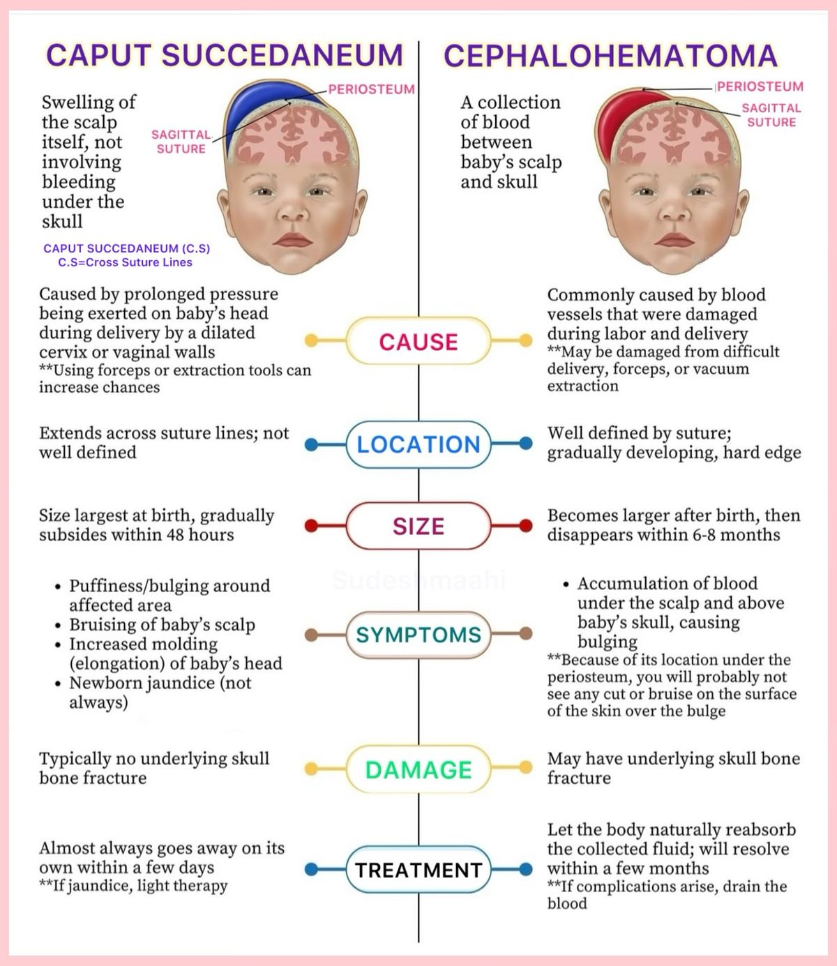 Nursing and Midwifery Knowledge | This medical infographic compares ...