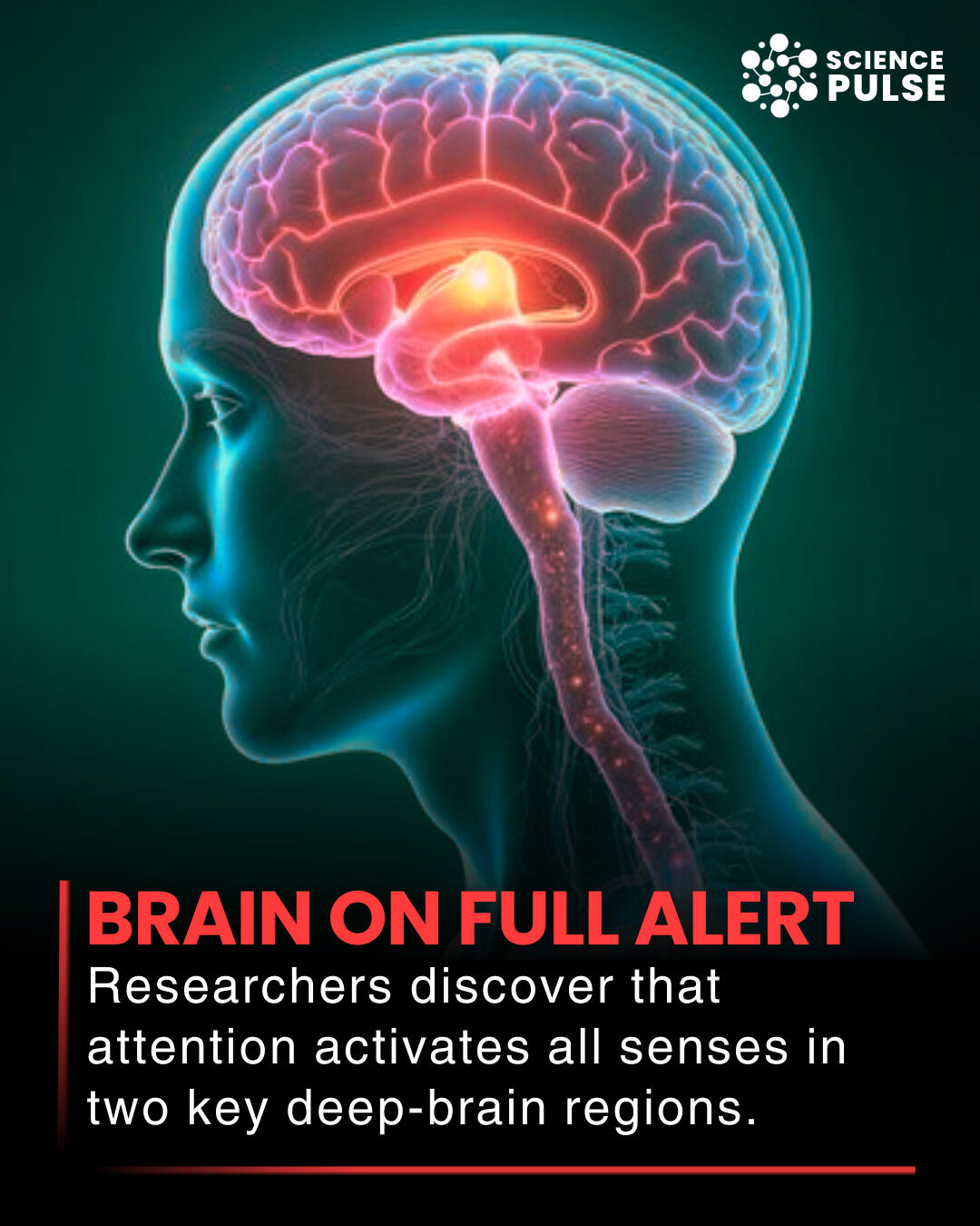 The Science - A groundbreaking study has revealed that attention does ...