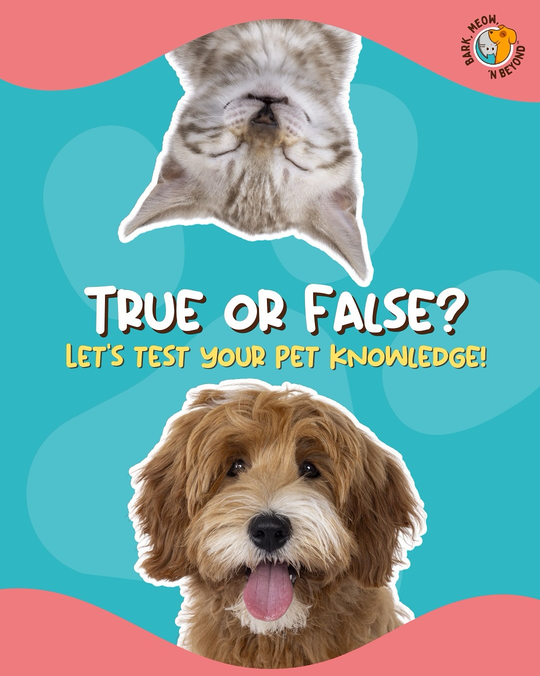 🐾 True or False? Pet Edition!... - Bark, Meow, 'N Beyond | Facebook