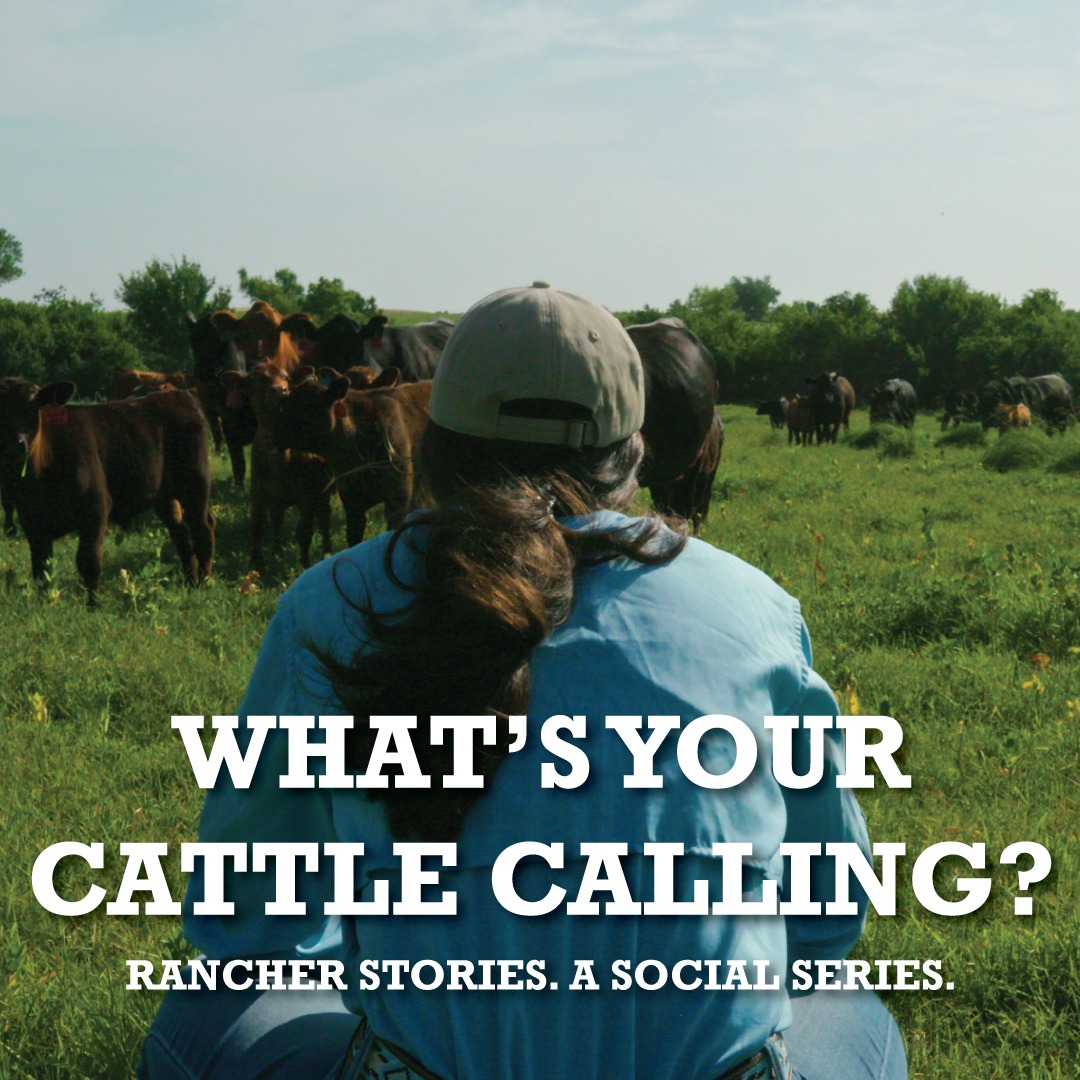 Calling all Cattle... - Beef. It's What's For Dinner. | Facebook