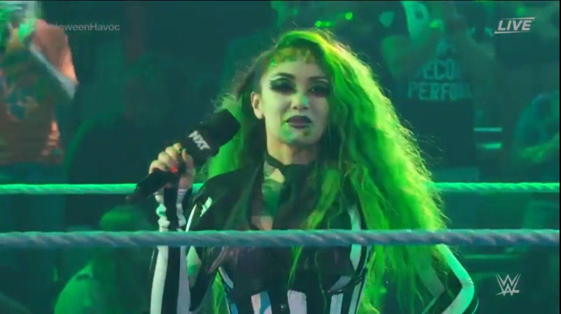 Shotzi Blackheart Wrestling Fans