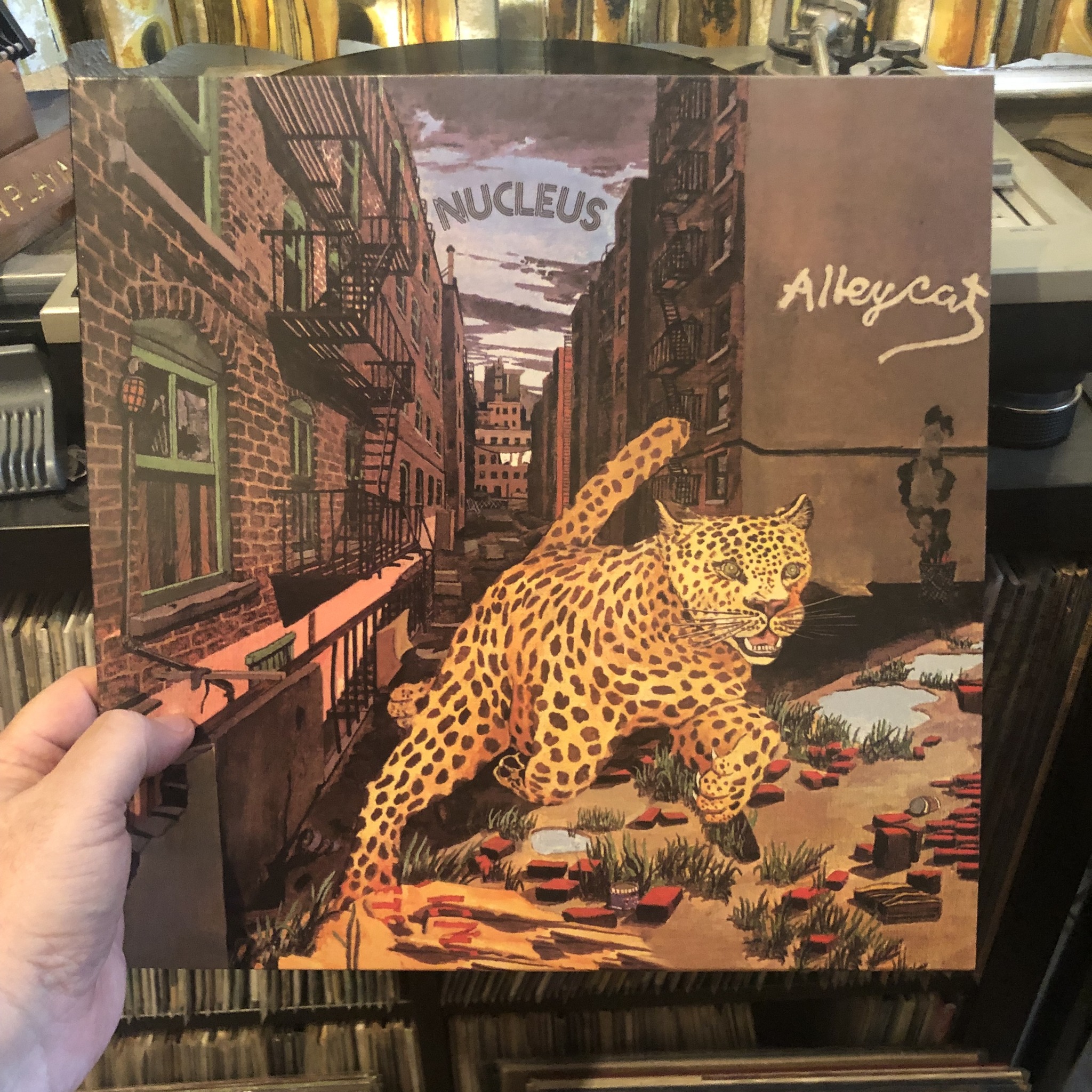 Nucleus Alleycat album review, a funky jazz favorite