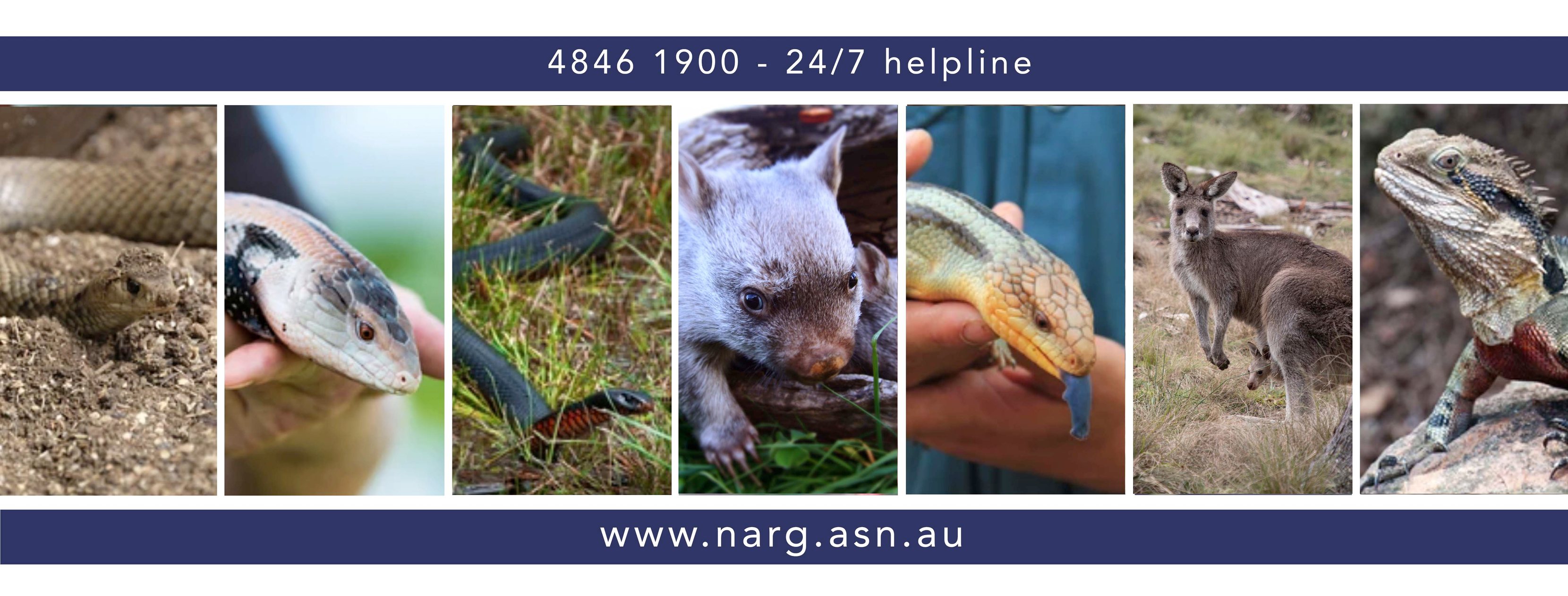 Native Animal Rescue Group - 24/7 NARG 4846-1900