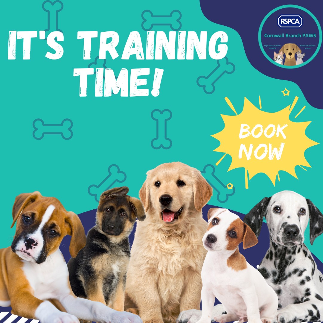 Rspca - 🐾 NEW PUPPY PRESCHOOL CLASSES STARTING AUGUST 16TH! 🐾 Give your ...