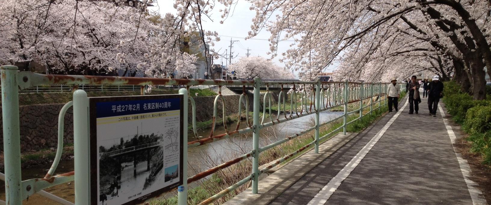 名東区役所 愛知県名古屋市名東区上社 市役所 区役所 市役所 グルコミ