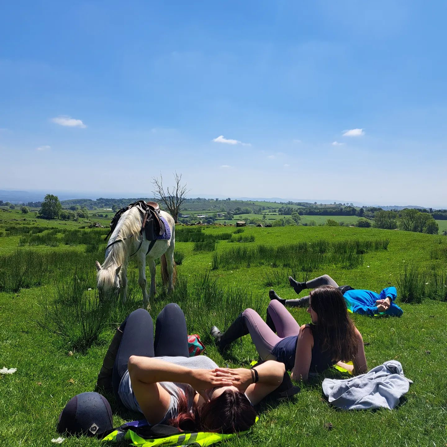 Springhill Farm Riding Stables | Selattyn
