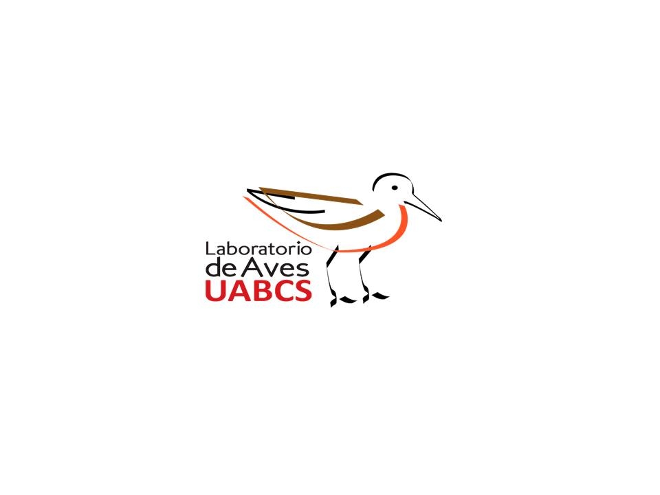 Lab. Aves UABCS - 🐦🦅 𝐓𝐞𝐧𝐞𝐦𝐨𝐬 𝐧𝐮𝐞𝐯𝐚 𝐟𝐞𝐜𝐡𝐚!!!! ⬇️🐧🦉️ Te... | Facebook
