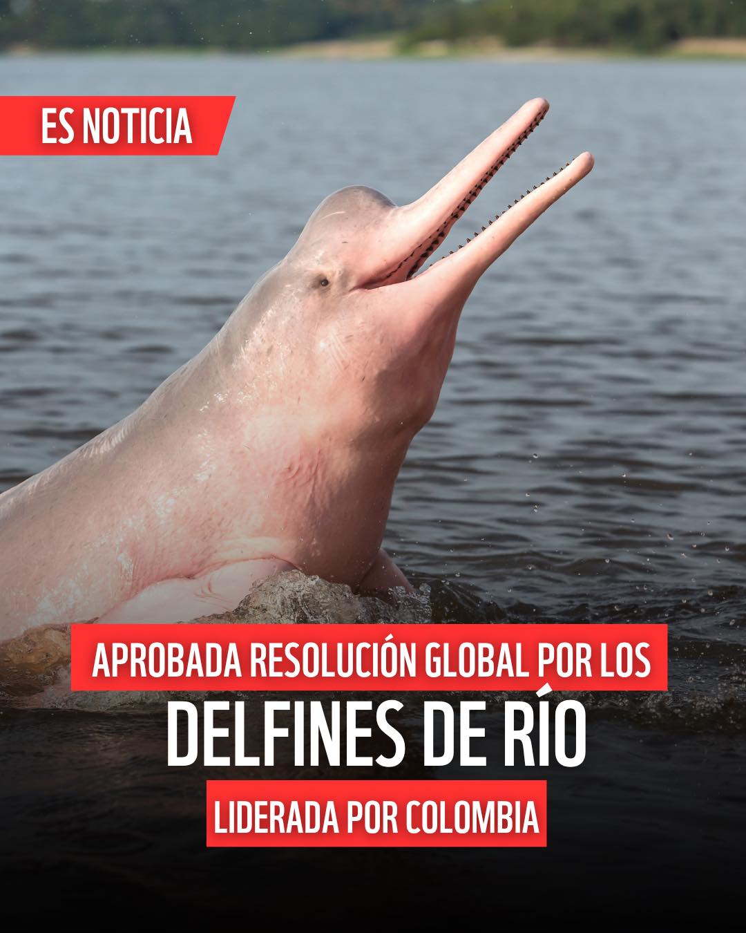 WWF Colombia - En la #COP15Ramsar en Zimbawe🇿🇼, se adoptó... | Facebook