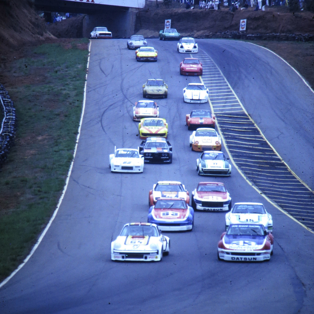 1981 Datsun ZX Turbo in IMSA Camel GT Championship