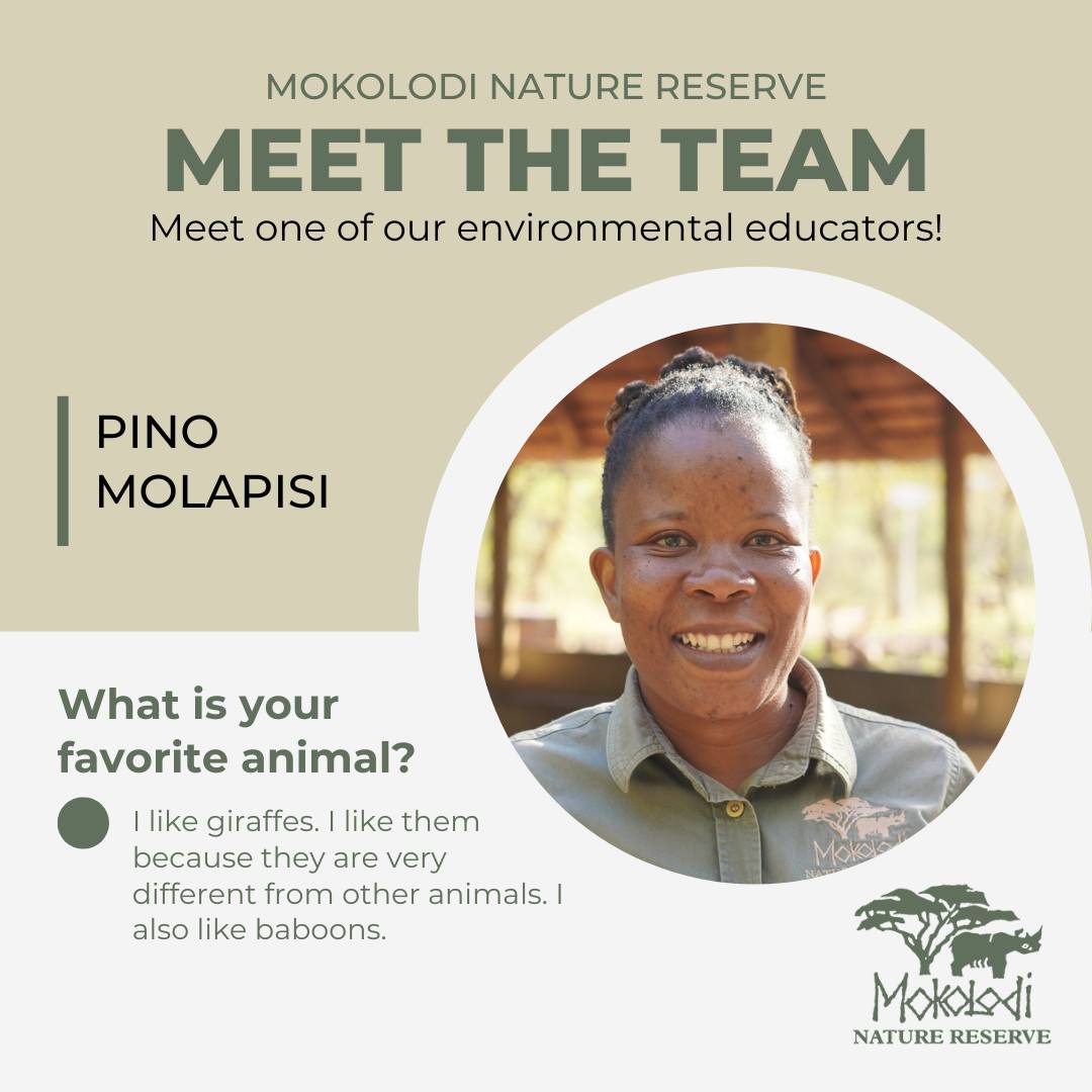 🌿 Meet Our Staff at Mokolodi... - Mokolodi Nature Reserve | Facebook