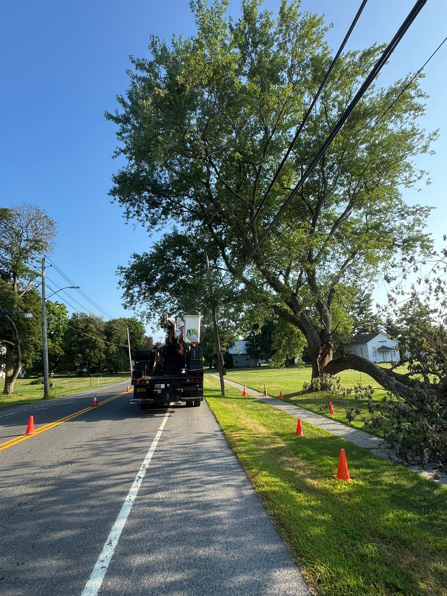 Norcott Tree Service & Excavation | Clyde NY