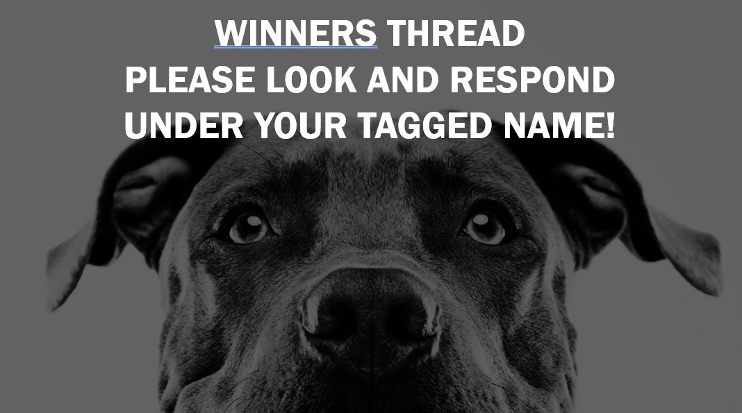 Helping Paws Animal Network Resales for Rescue! | *** WINNERS THREAD ...