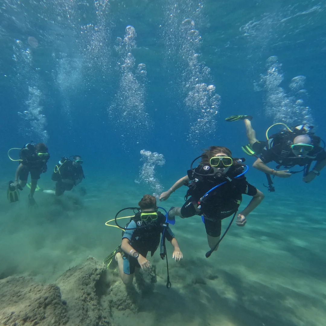 Creta - School of yellow amberjacks, Boat dive at Amphora reef ...