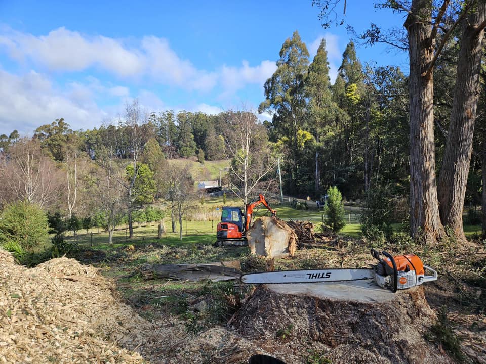 Charlie's Tree Service | South Hobart TAS