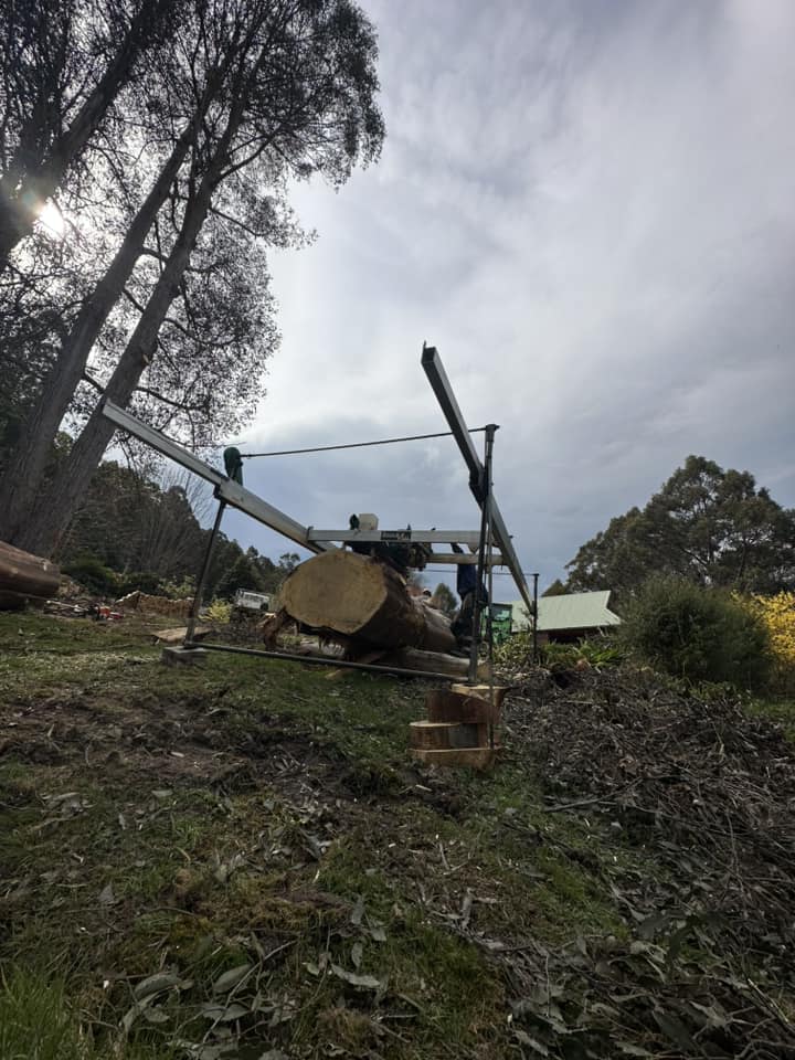 Charlie's Tree Service | South Hobart TAS