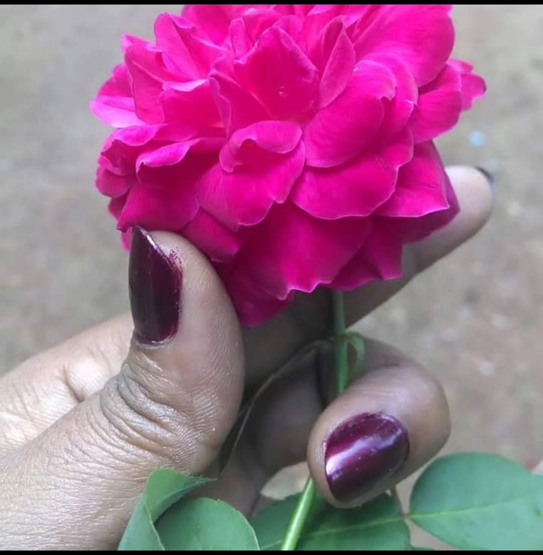 Rajani Anish