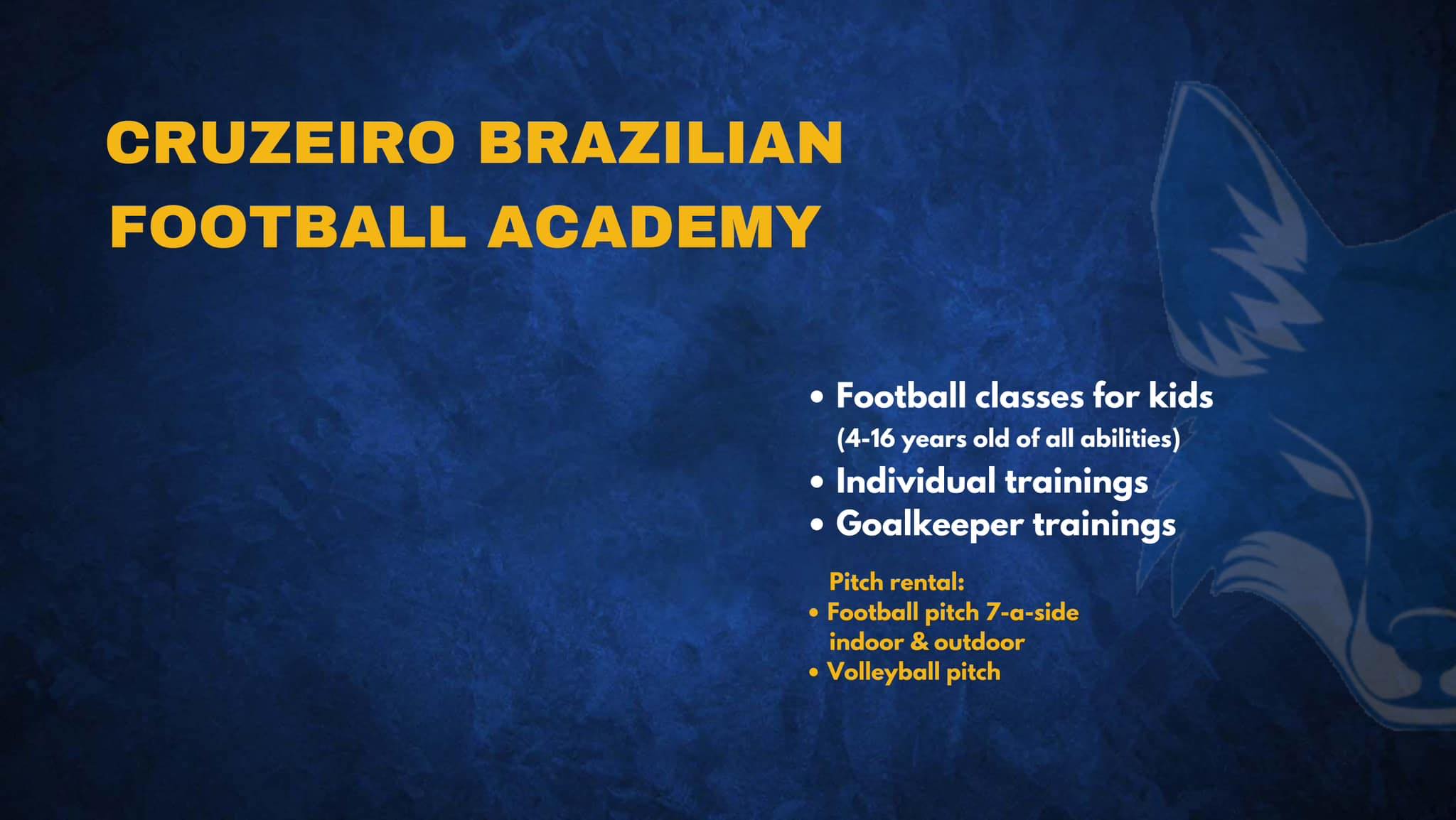 Pkfc Cruzeiro Brazilian Football Academy