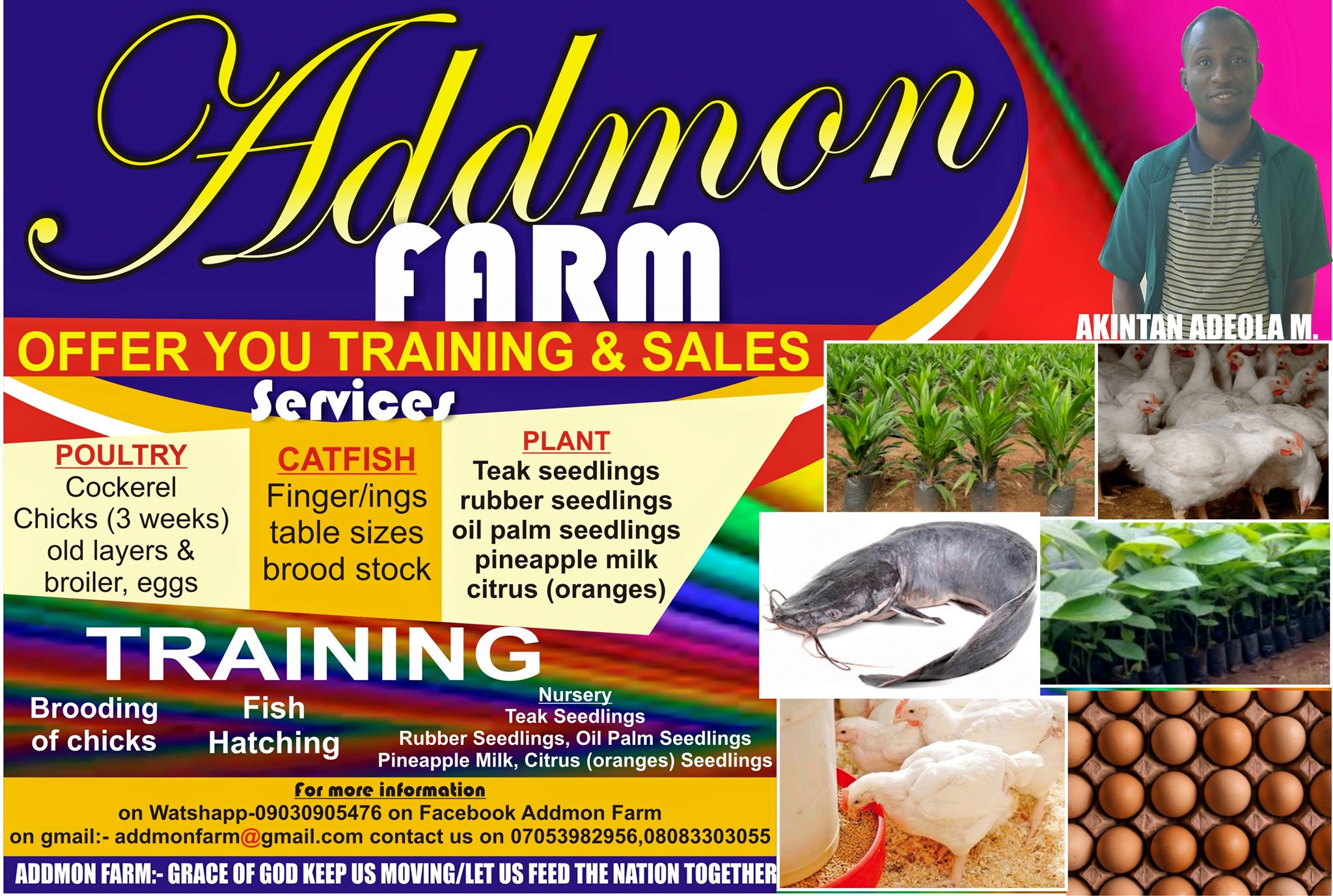 Addmon farm | Ijebu Ode