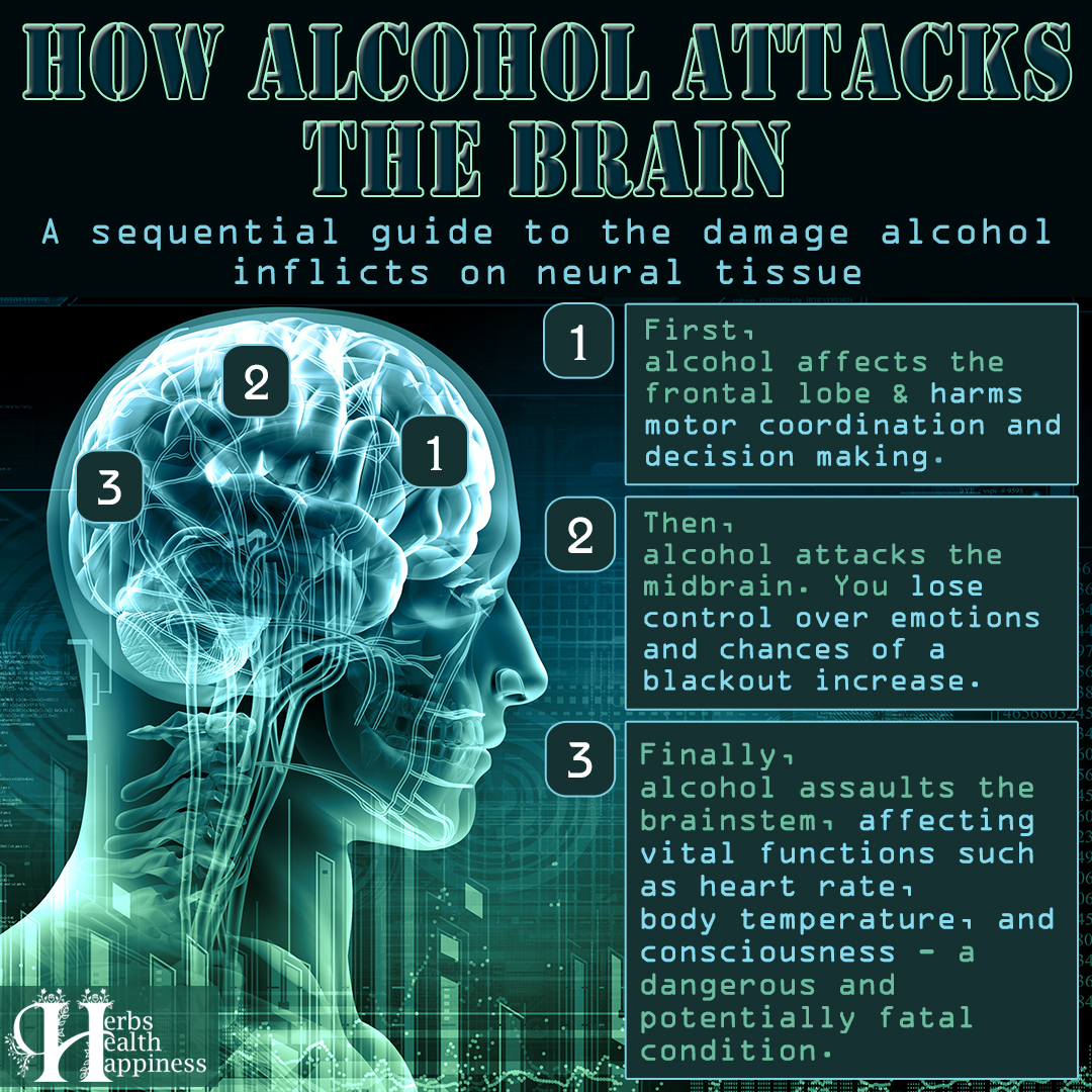 Inspiration - How Alcohol Attacks The Brain (permanent changes!) 😔🧠☠️ ...
