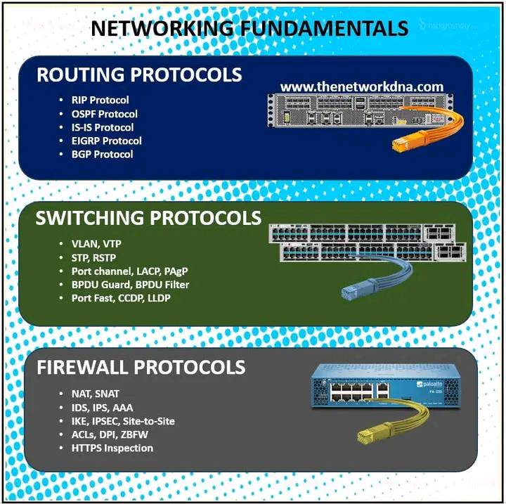 Samitake - Network Fundamentals . . . .. . #thenetworkdna # ...