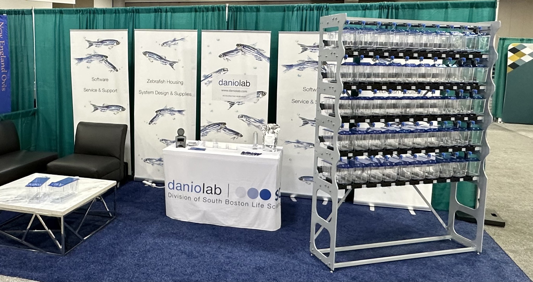 Danio Lab | Boston MA