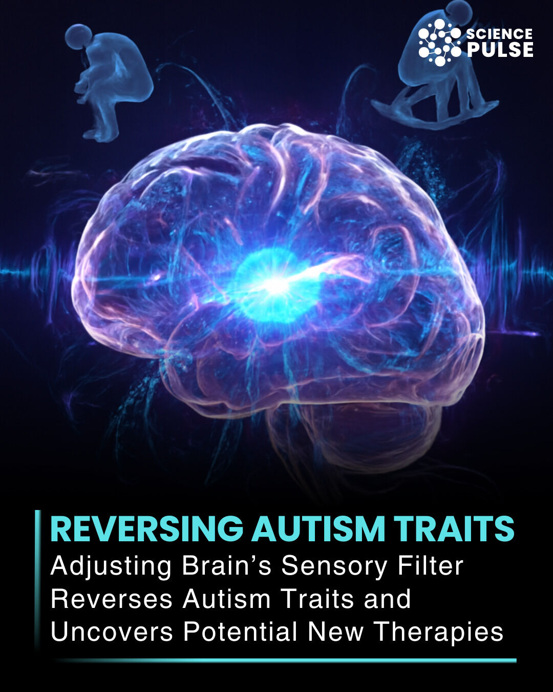 dihexa benefits for autism New molecular map of brain could lead to targeted treatments, experts say no-stock-alert Material:Kodak ENDURA Paper 5-AMINO-1MQ – Amped Nutrition