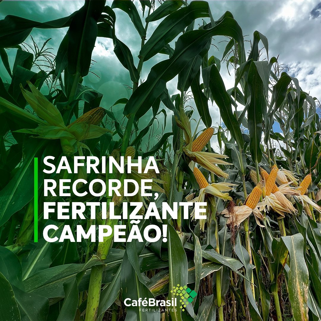 PROPhós é o fertilizante... - Café Brasil Fertilizantes