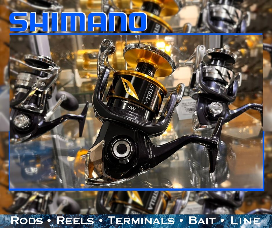 Shimano Stella SW 4000HG fishing reel