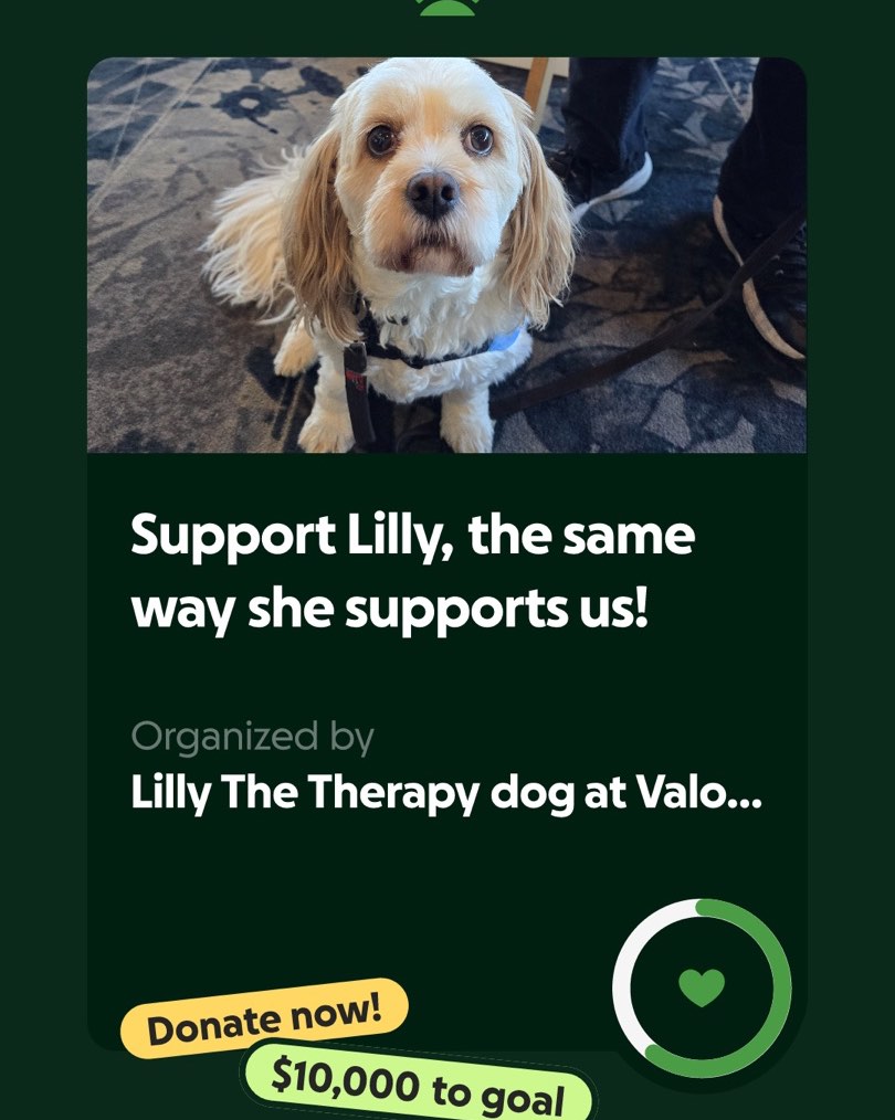 Valorous Place - Hello everyone, My name is Lilly, and I... | Facebook