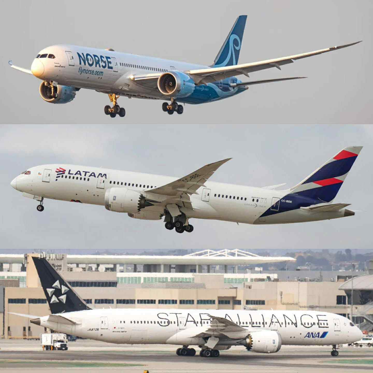 Insana - 🌐 Dreamliner Spotlight – Norse, LATAM & ANA ️ The Boeing 787 ...
