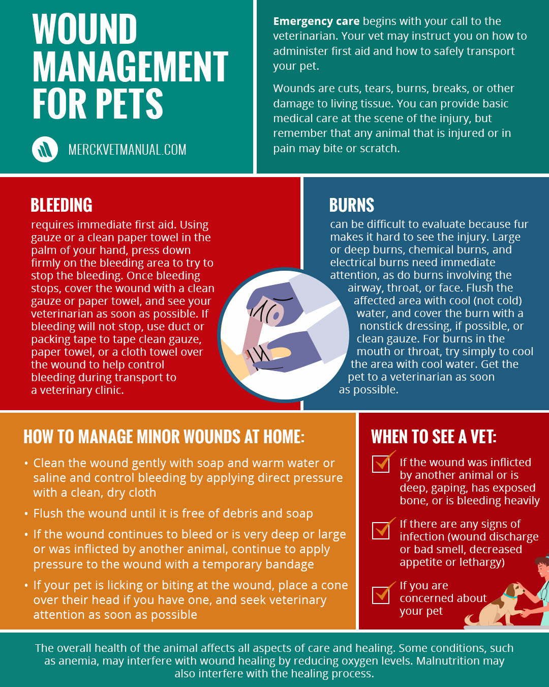 The Merck - Remind pet owners that injured pets must be approached ...