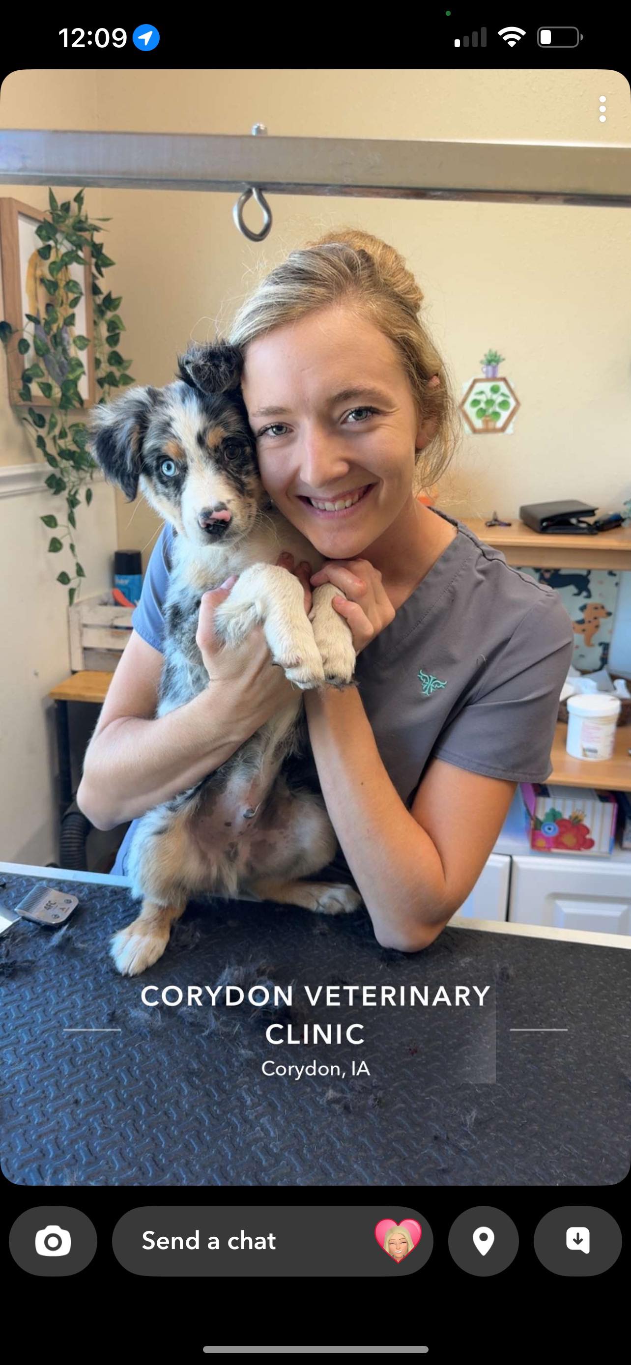 ElieJoe’s Dog Grooming | Corydon IA