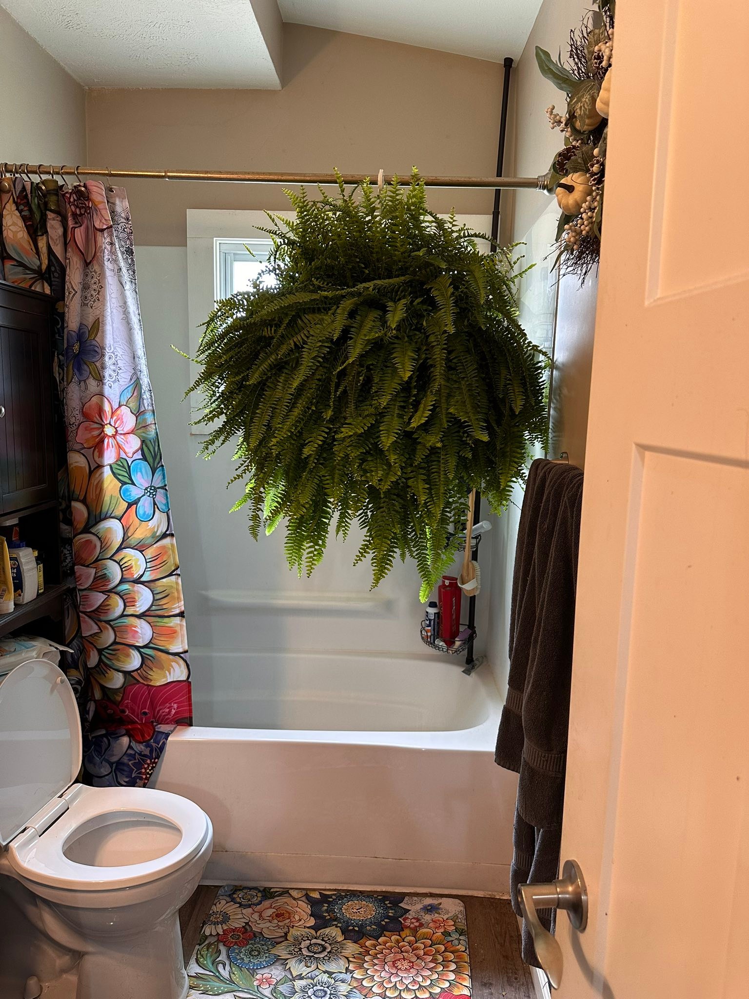 How to Decorate a Small Corner With Plants in Bathroom: Stunning Ideas