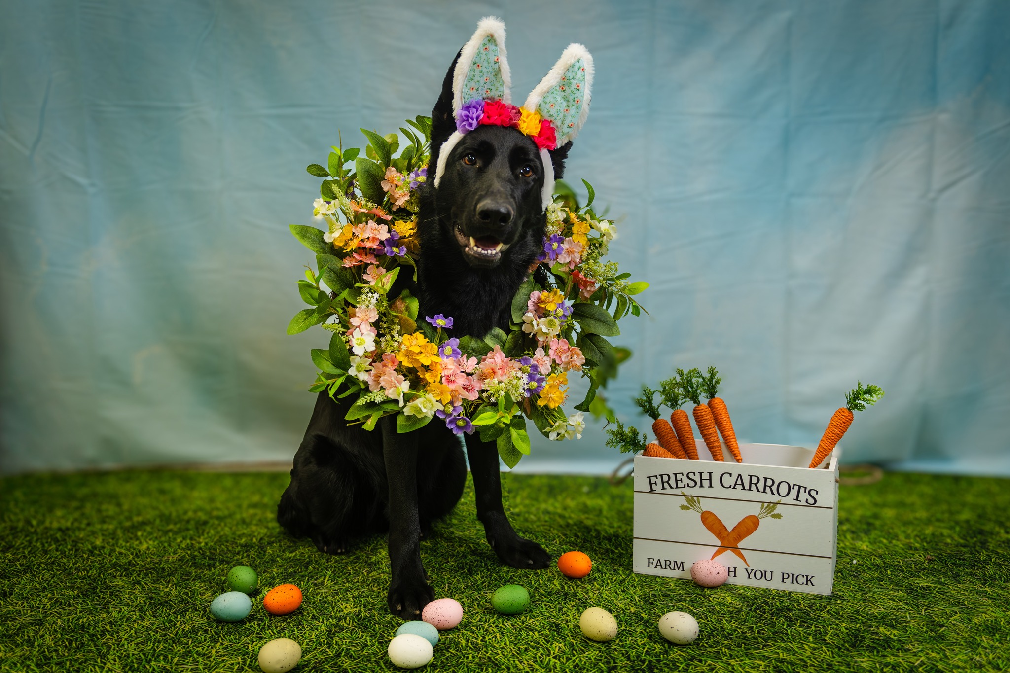 Easter Shoot benefiting Bluewater Search & Rescue