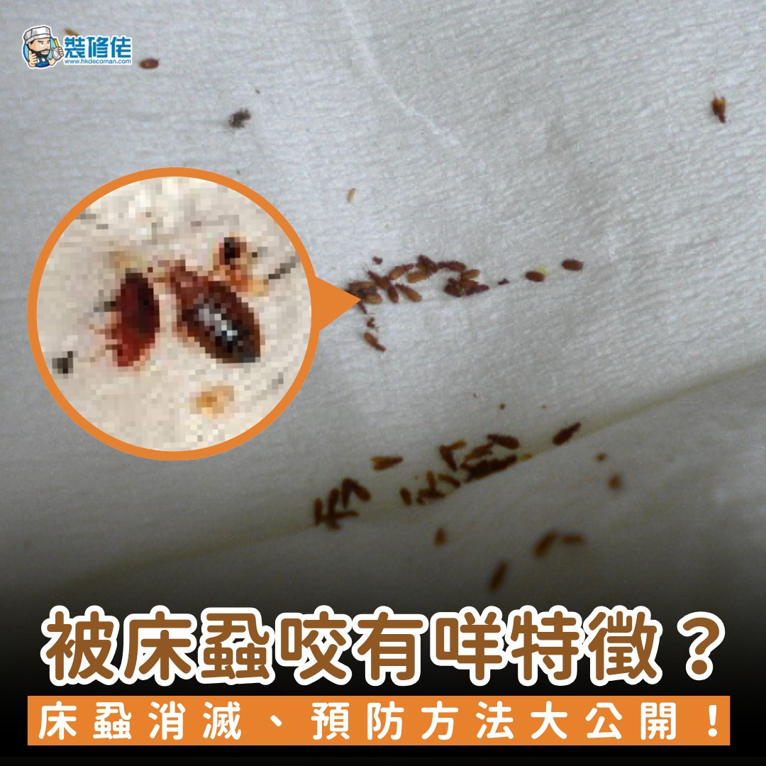 【天然滅蝨】被床蝨咬有咩特徵？床蝨消滅、預防方法大公開！... - 裝修佬 - 香港一站式網上裝修平台