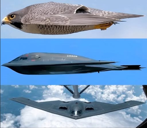 Ancient - Nature vs. Machine: Two engineering marvels — one born of ...