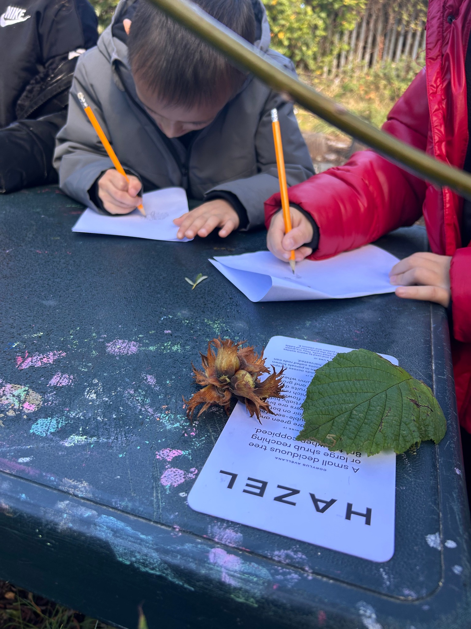 🌿🔥 Forest... - St Malachy’s Catholic Primary School Halifax | Facebook