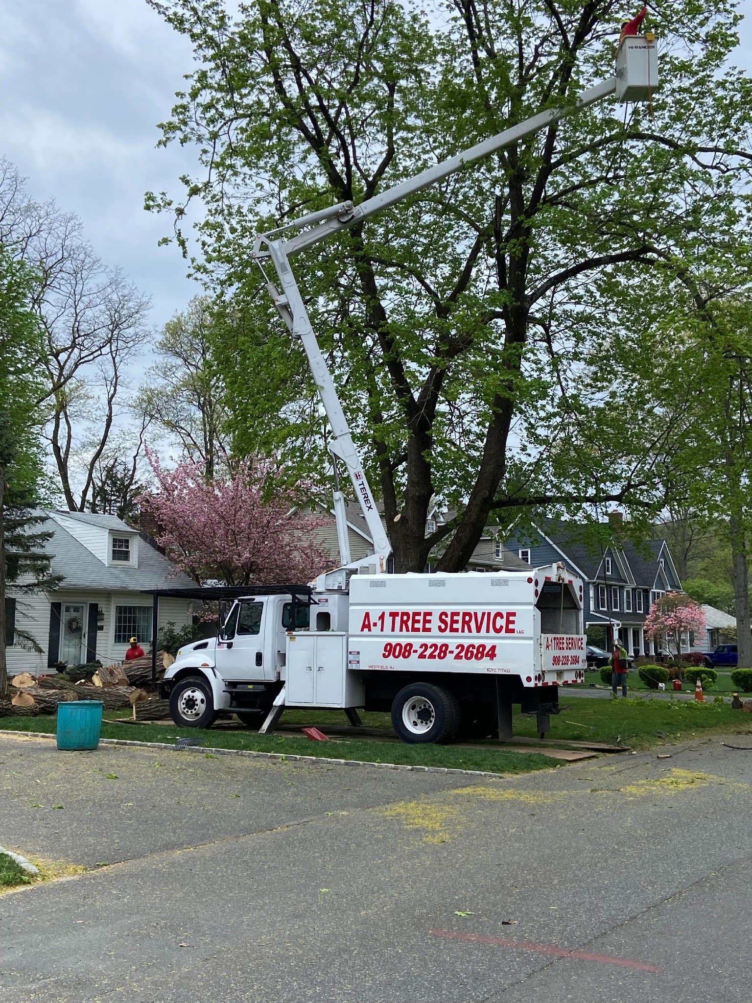 🌿 Give your landscape the care it... - A-1 Tree Service | Facebook