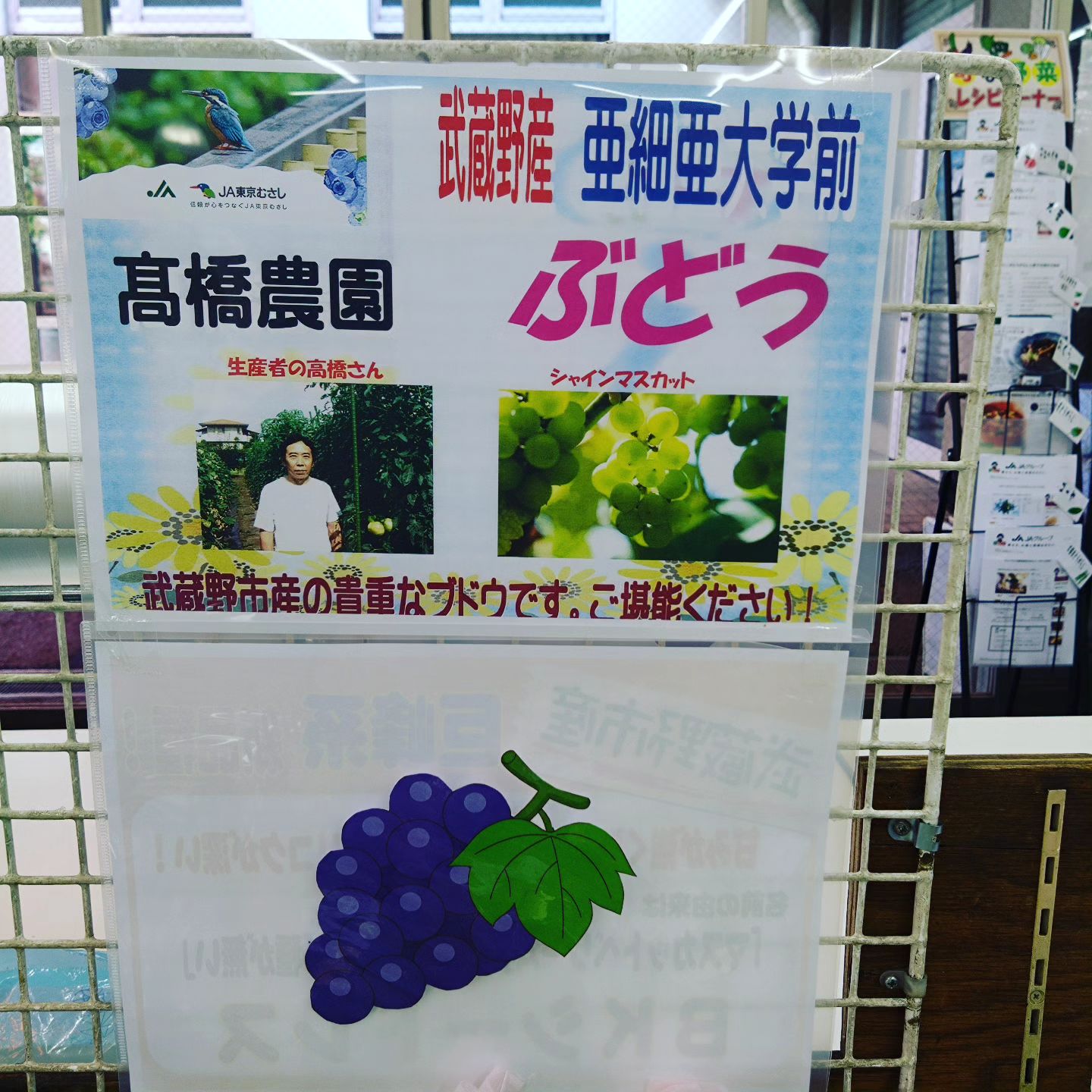 武蔵野 大学 マスカット