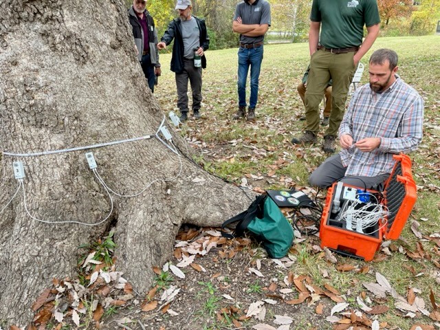 Missouri - Chris Rippey of the Missouri Arborist Company demonstrates ...
